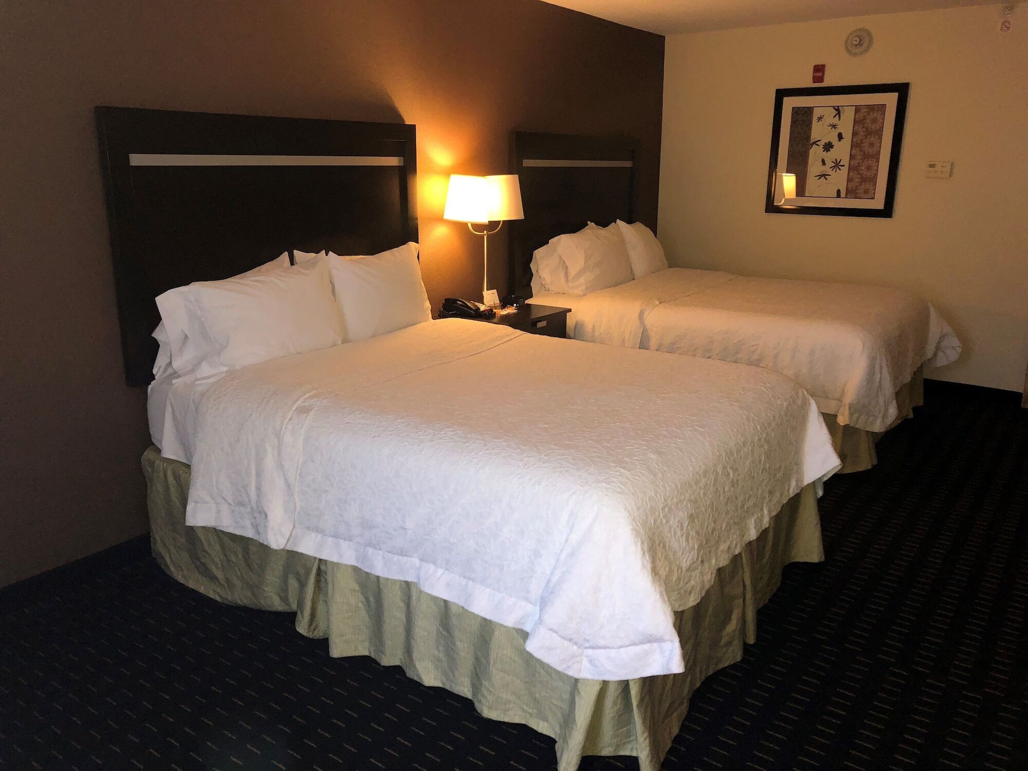 Hampton Inn Jericho - Westbury Dış mekan fotoğraf